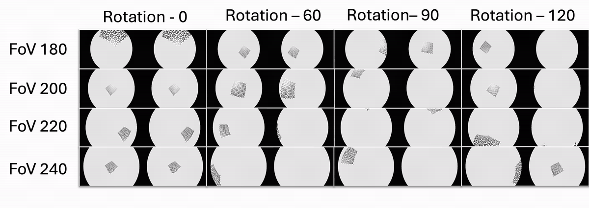 Looping synthetic fisheye stereo dataset visualization.